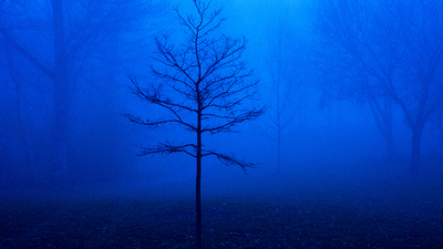 The Story Behind This Photo - Foggy Morning in Lockport, Illinois