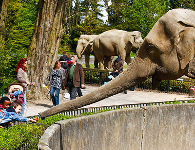 The Story Behind This Photo - Tierpark Hagenbeck - Hamburg, Germany Zoo